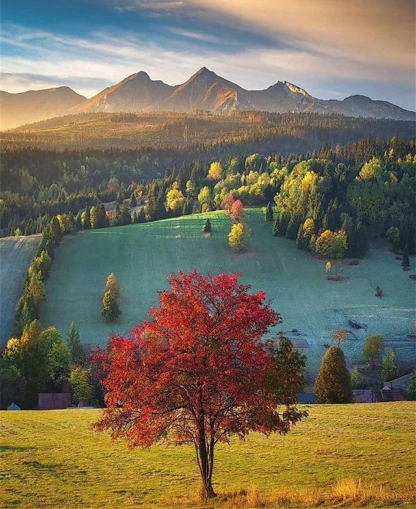 Autumn morning 🌞🍁🌲🍂🤗