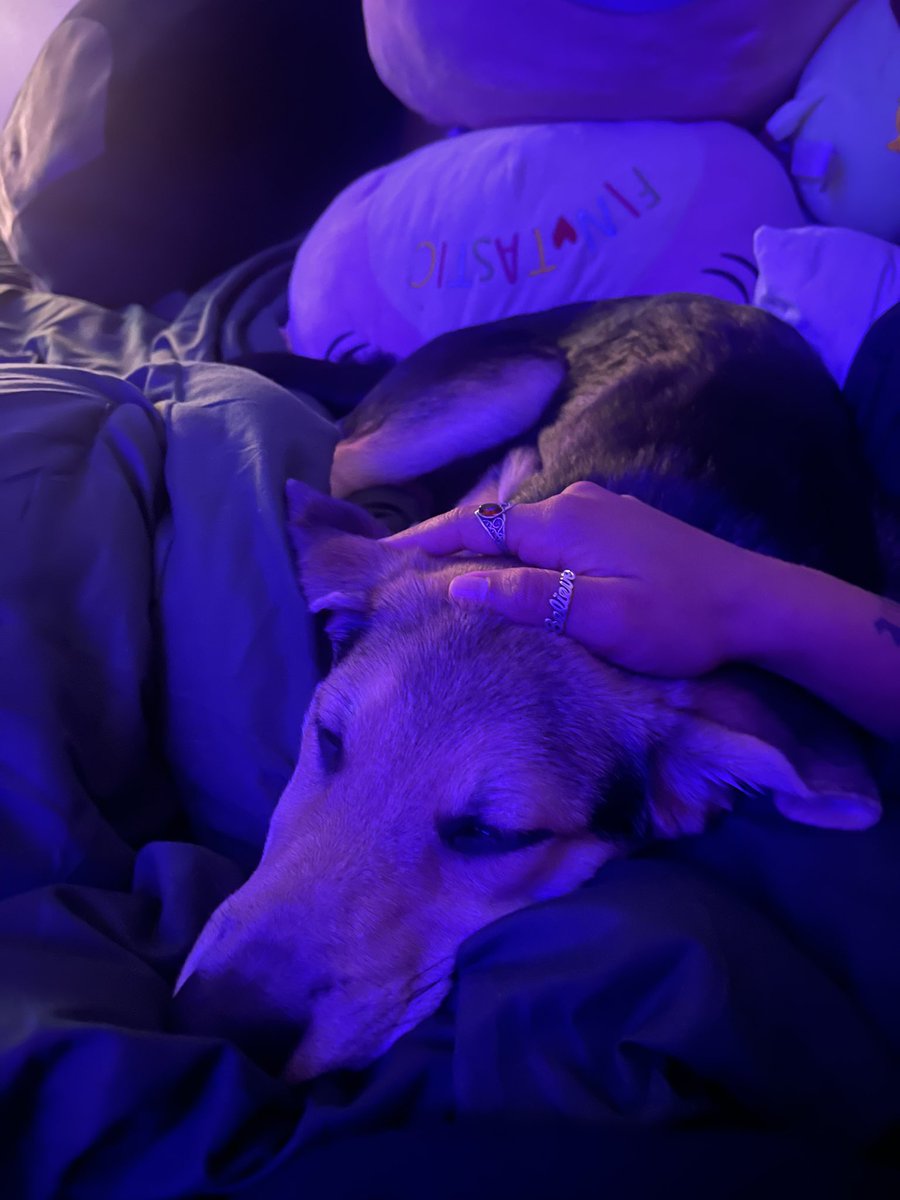 ca1tlynvictoria's tweet image. Update: my baby is growing :,) #puppymom