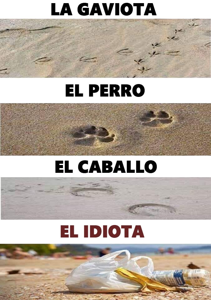 EcoInventos's tweet photo. Las huellas nos pueden dar mucha información de quien la deja... https://t.co/acyQxdXUKU