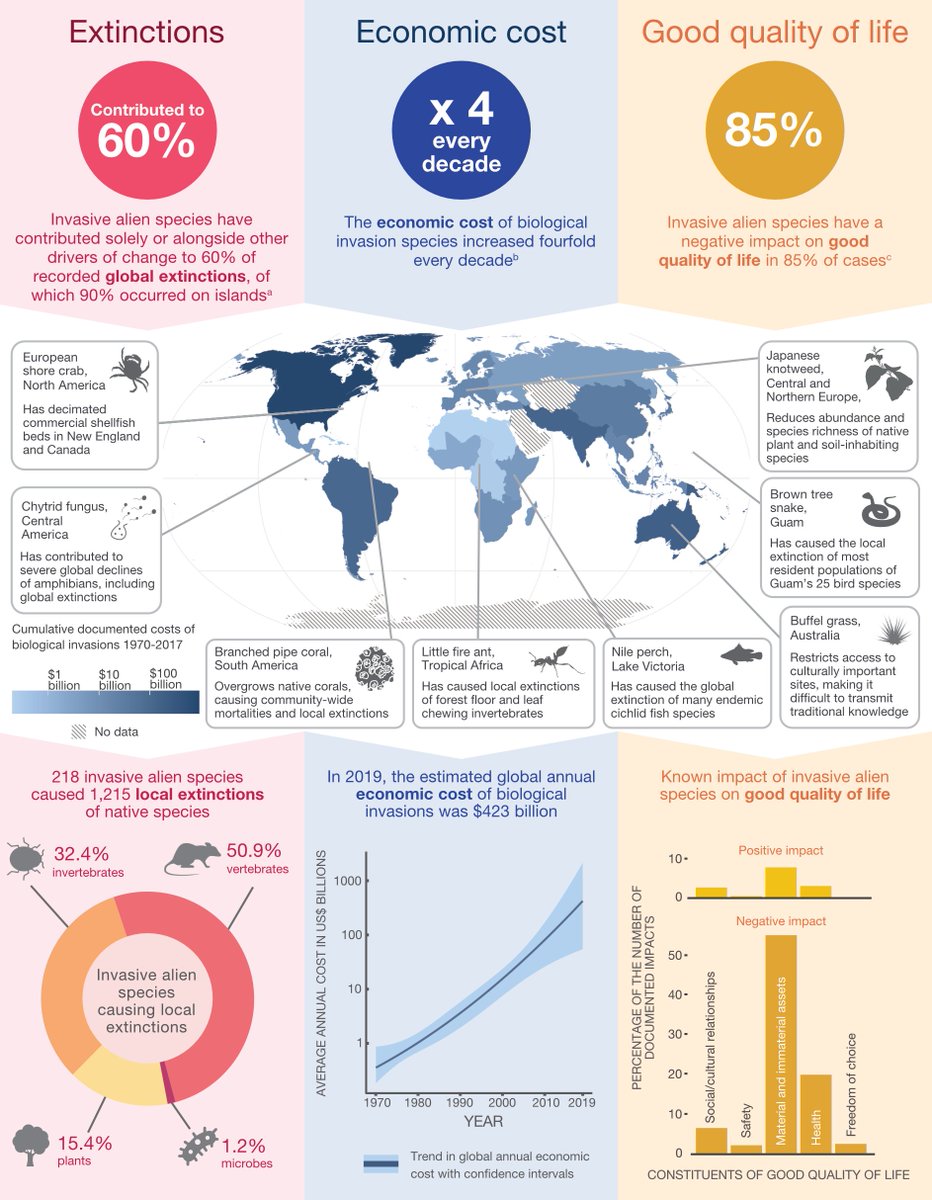 🌍 The extent of problems caused by #InvasiveAlienSpecies are far-reaching. 🌱From native species extinctions to accelerated economic costs🪙, this infographic from the new @IPBES Invasive Alien Species Report explores these challenges. 💡ipbes.net/IASmediarelease