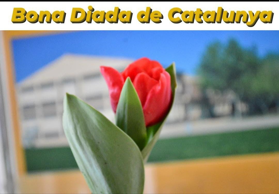 Des de l'<a href="/EspriuSalt/">Institut Salvador Espriu (Salt)</a> us desitgem que tots i totes passeu una bona Diada! #SomriuEspriu
