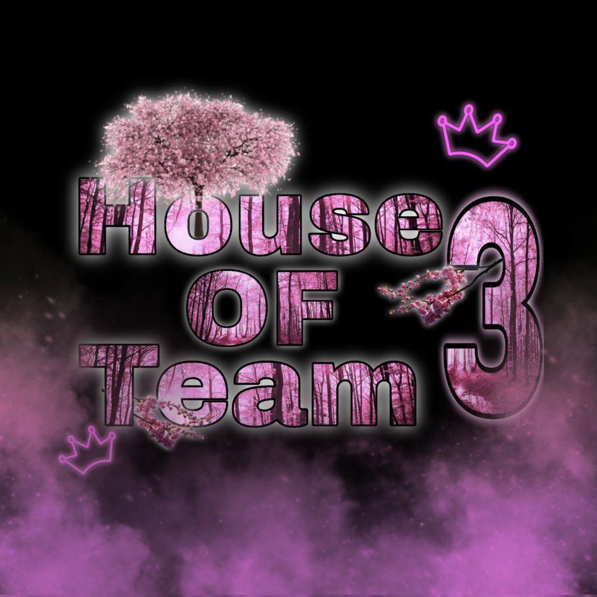 HauseTeam's tweet photo. 2024 nueva Temporada #HouseOfTeam3 https://t.co/3u3zgVyiev