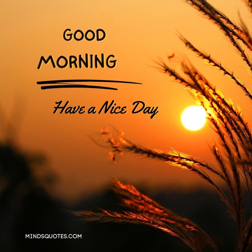 Safdarshah67's tweet photo. Good Morning Have A Nice Day! It's a beautiful morning,and you are a beautiful person.Let your light shine bright and make today a masterpiece.

#GoodMorningEveryone #DaysofourLives #Wellbeing #DishaPatani #AkshayKumar #DayTrading 

@BeingSalmanKhan @SunnyLeone https://t.co/BLovkiZJBd