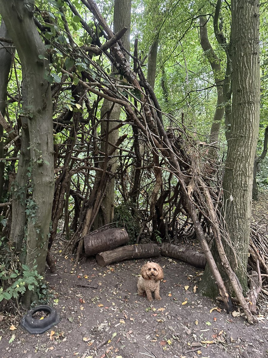 Bon is found an impressive structure on her morning walk today. It’s amazing what you can find if you #TakeNotice @CTS_Watford @MrsSulamanCTS @MsHCTS @grdnclassroom #fivewaystowellbeing