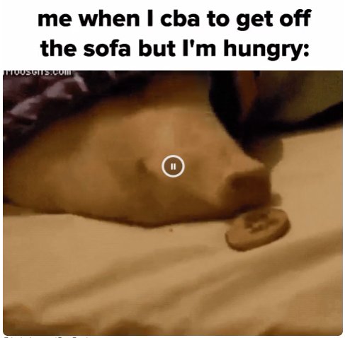 Funny Food Memes (@funnyfood_memes) on Twitter photo 