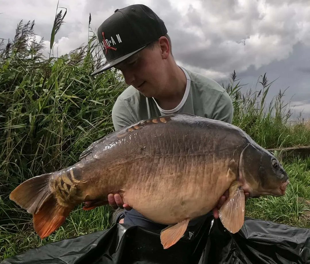 premiumcarp's tweet photo. Team PCF member Mantas Kasparavicius managed 3 carp to 29lb at teakettle Fisheries, all caught using Spice-Amino wafter over matching 10mm boillies. Great work mate 👍
#teampcf #premiumcarpfishing https://t.co/KX1itTDK37