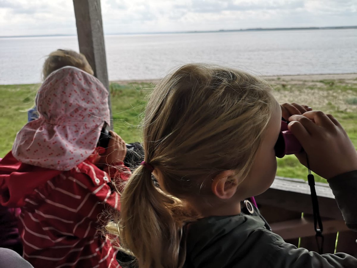 succow_stiftung's tweet photo. #Besuch auf der #InselKoos: Unser Freundeskreis bestaunte das #Salzgrasland in den #KarrendorferWiesen, während die Kindergruppe „Bienennest“ lernte, wie man Vogelarten bestimmt und Schilder für das #NSG gestaltete. Vielen Dank für eure Unterstützung! 💚 https://t.co/H5pqJII3QM https://t.co/BQeryZwb6D