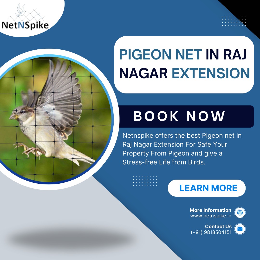 netnspike's tweet photo. Protect your home from unwanted feathered guests in Raj Nagar Extension with Netnspike's pigeon nets! Say goodbye to bird troubles today! ποΈπ«
Contact Us Now:
π (+91) 9818504151
π§ netnspike@gmail.com
π https://t.co/GXvbJleMxo
#PigeonNet #Netnspike #RajNagarExtension https://t.co/DXbIAkJhar