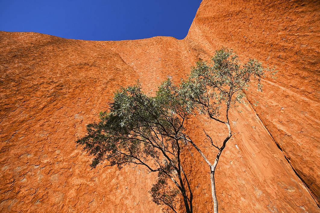 #honesthistory Extraordinary essay from historian <a href="/tomrgriffiths/">Tom Griffiths</a> will make you see our history differently and in a way that strongly supports Yes honesthistory.net.au/wp/griffiths-t… Our old, brown Country does not deserve a No vote on 14 October