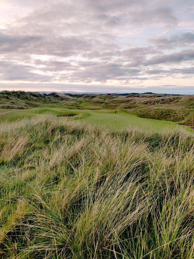 Stephen Berry tweet media