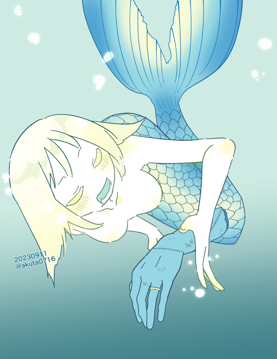 「人魚の刺身食べたい 」|渡辺こよのイラスト