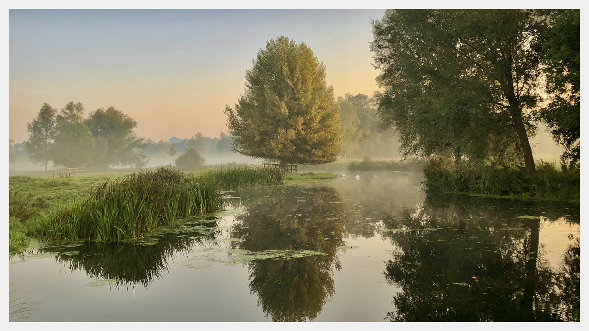 A misty morning on the River Stour #suffolk #dedham #flatfordmill #riverstour #landscapephotography #mistymorning #sonyalpha