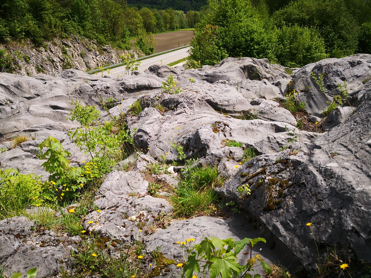 chiemseealpen's tweet image. Am #TagdesGeotops stellen wir Euch den #Gletscherschliff bei Flintsbach vor. Das Biotop im #ChiemseeAlpenland ist um die 10.000 Jahre alt und zählt zu den "Top 100 #Geotope" in Bayern, seit 2006 trägt er das Prädikat "Nationales Geotop".
chiemsee-alpenland.de/entdecken/alle…