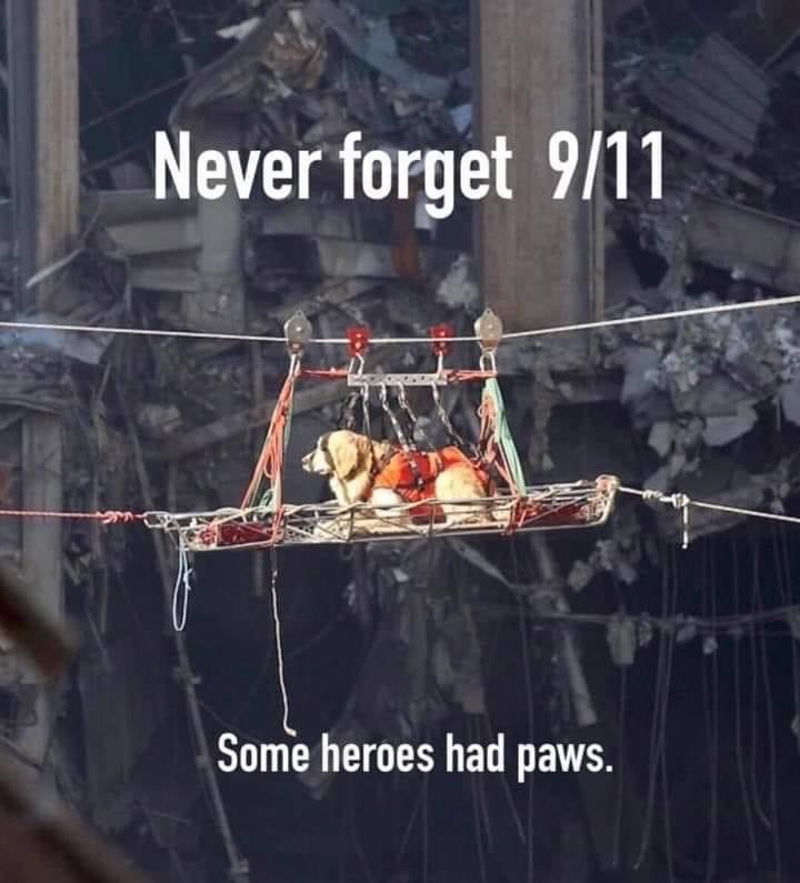 Alice💖 ⭐MIKA⭐ 🎶MUSIC🎶 ✨Check it 🎹 #MNIMH 💛 tweet media