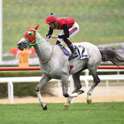 KMelmenci's tweet photo. #YeniProfilResmi https://t.co/ctwbFqrVuN