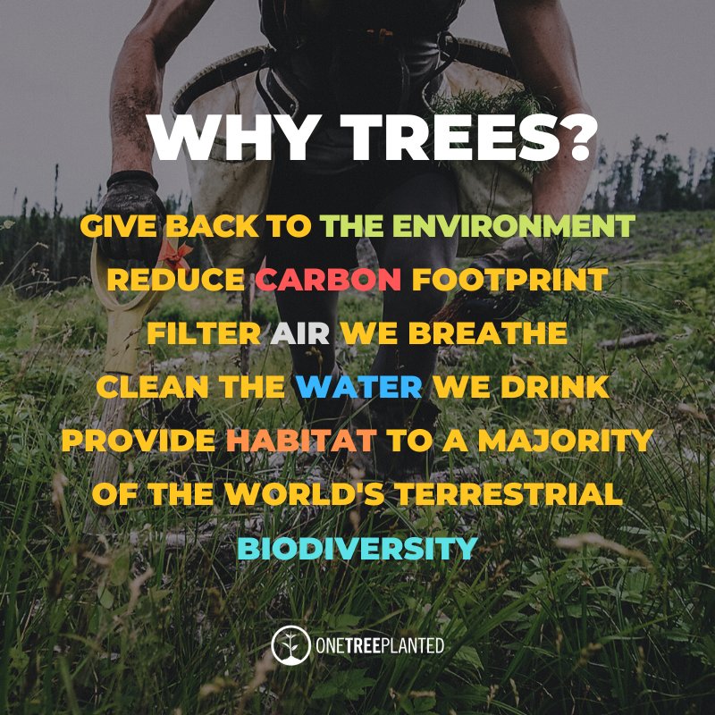 ♻️🌳 ONE TREE PLANTED 🌳♻️ 

We are an affordable, eco-friendly eyewear provider that, with the help of our partner, One Tree Planted can plant a tree with every pair of spectacles sold. 

 #ecoeyesuk #ecofriendly #ethicallysourced #express #affordable #onetreeplanted
