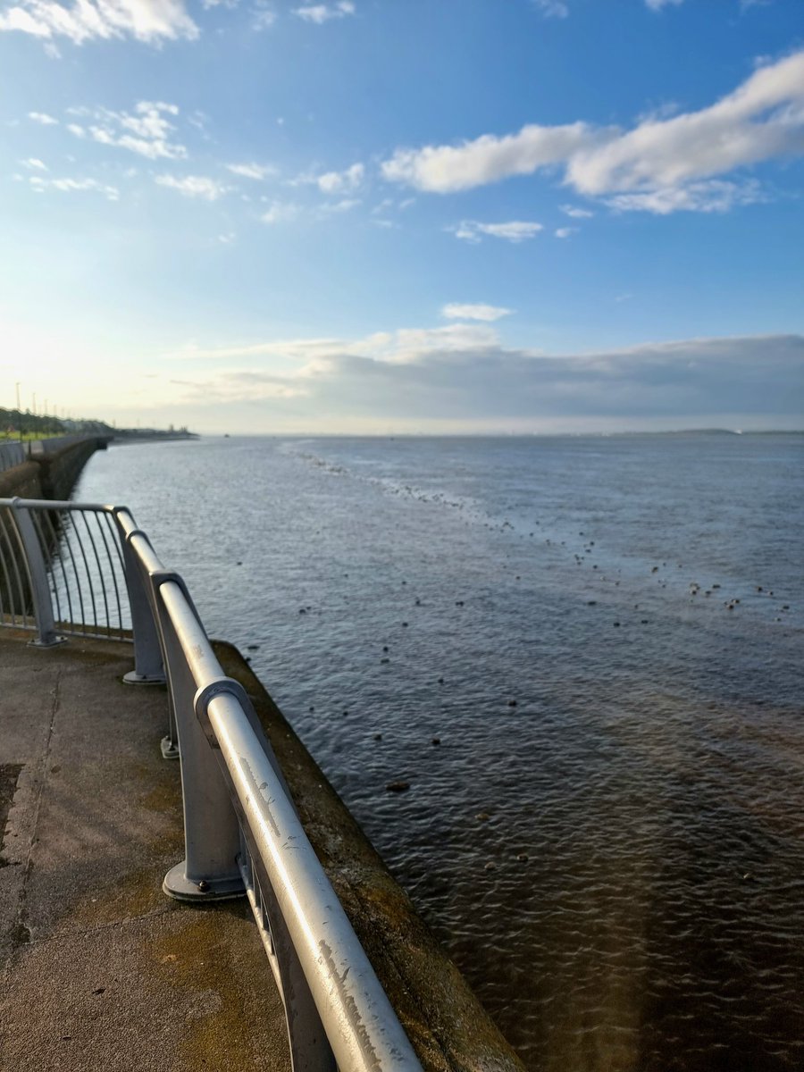 MartLowe75's tweet photo. What's this at Otterspool Prom this morning @unitedutilities ? It stinks in every way. https://t.co/3s8g0i4736