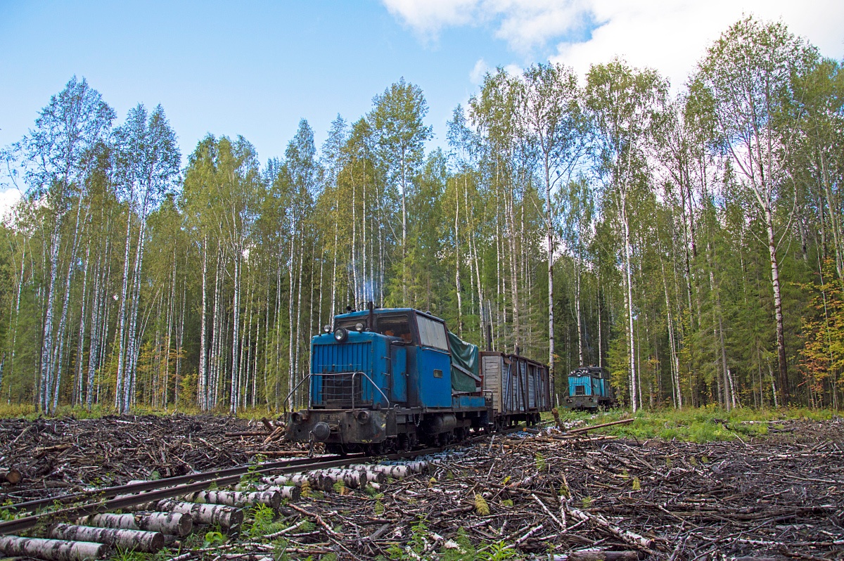 NGR_RU's tweet photo. Тепловозы ТУ6Д-0285 и ТУ8 на делянке, Созимская узкоколейная железная дорога, Кировская область, 2022. Diesel locomotives TU6D-0285 and TU8 at the Logging Camp, Sozimskaya narrow-gauge railway in Kirov Oblast, 2022. Photo: Aleksey Kalinin. #ужд #узкоколейка #narrowgauge #TU6D https://t.co/lF1qRNRJWT
