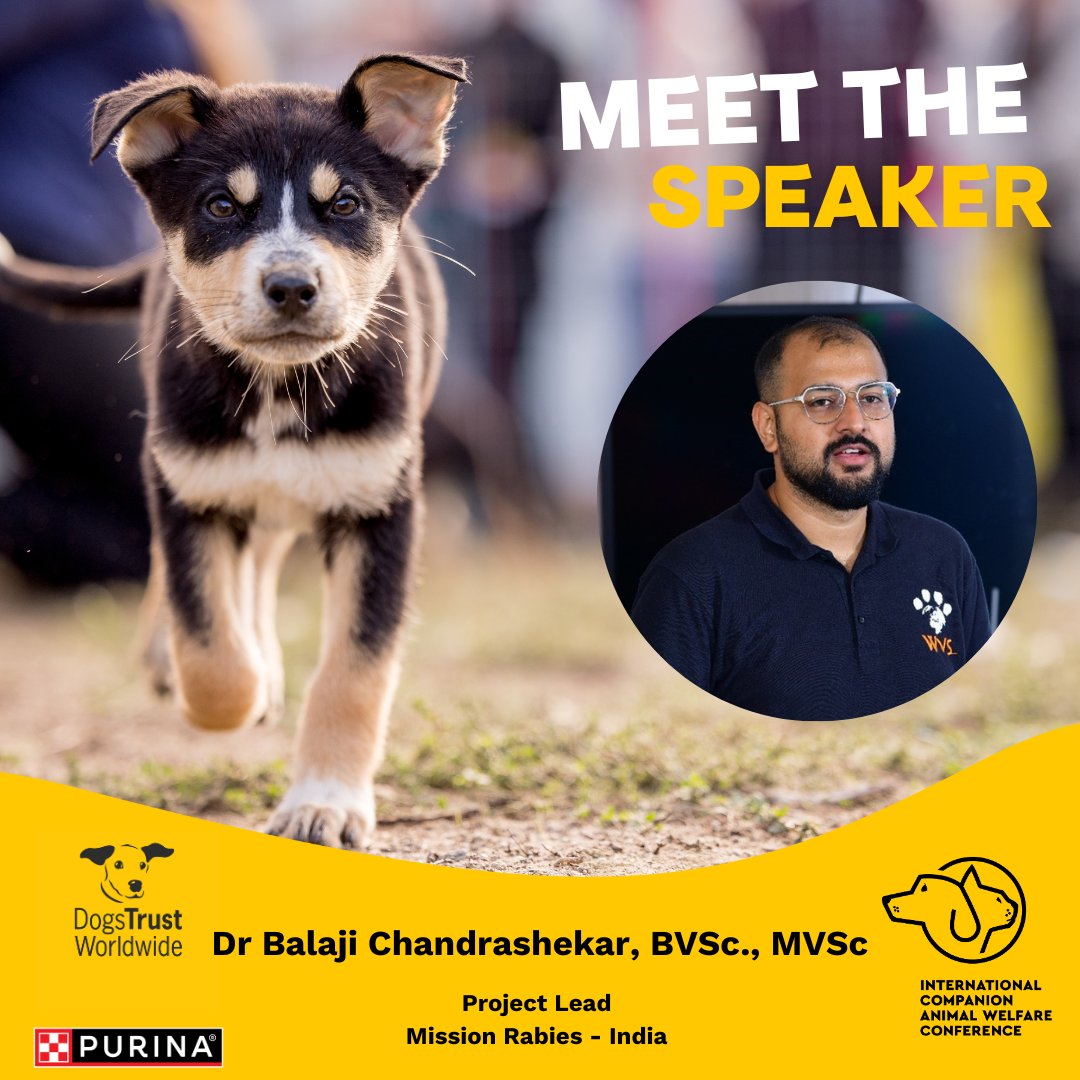 _DTWorldwide's tweet photo. Did you know that in 2022 Dogs Trust Worldwide and our partners vaccinated over 260,000 dogs against rabies? This ICAWC we'll hear from Dr Balaji Chandrashekar BVSc., MVSc., Project Lead, @MissionRabies who is dedicated to combating rabies through his work https://t.co/nm3EAS9AEs