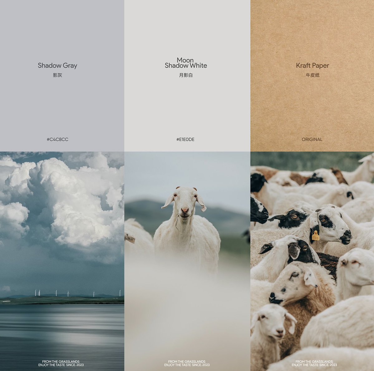 jdomito_'s tweet photo. Flying Sheep —

I am enthralled by this project. The illustrations are stunning, the color palette is beautiful, and everything is presented flawlessly.

ISLELESS studio https://t.co/C3zVwXYXXb