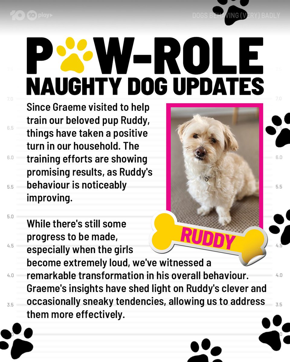 DogsBehavingAU's tweet image. Ruddy's improved behaviour wraps up season 1 nicely with yet another PAW-sitive outcome 😊🐾

Stream #DogsBehavingVeryBadlyAU now on 10 Play
10play.com.au/dogs-behaving-…

@GraemeDogfather @Ladyjmo #GraemeHall #AussieDogs #DogTraining #DogTrainingTips #AussiePuppies #NaughtyDogs