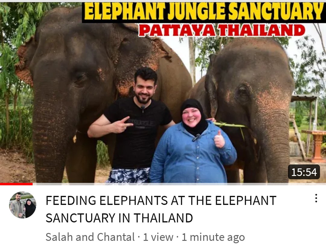 Shannanagins tweet media