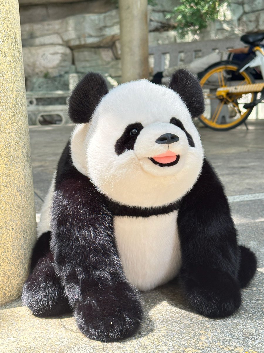 lolita_pandaq's tweet image. 🐼 Say hello to our newest addition to the cuddle squad - the Fei Yun Panda Plush! 🐾🛒👉 panda-q.com/en/realistic-p…  #FeiYunPandaPlush #CuddleBuddy #PandaMagic #CutenessOverload #PandaLove