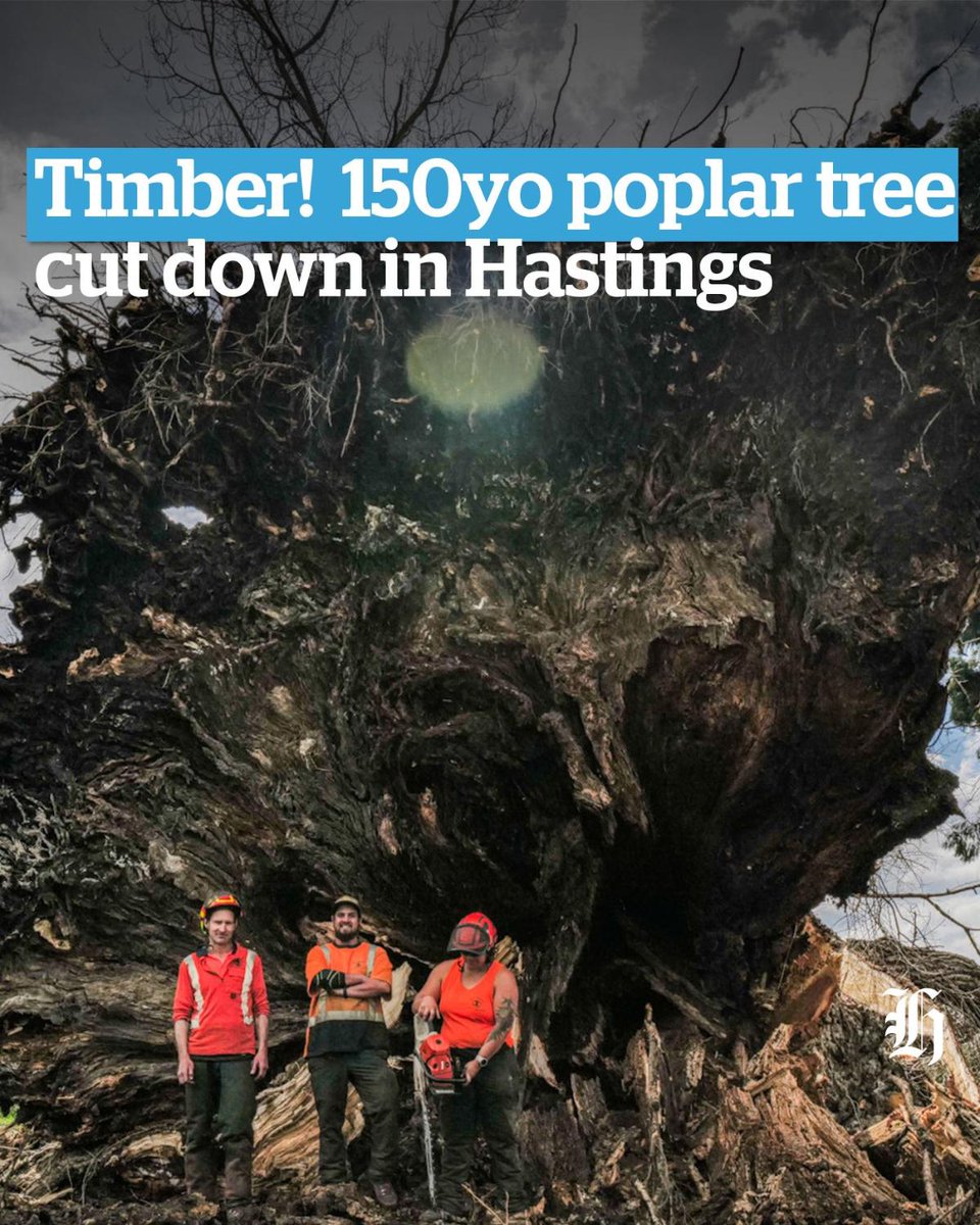 nzherald tweet media