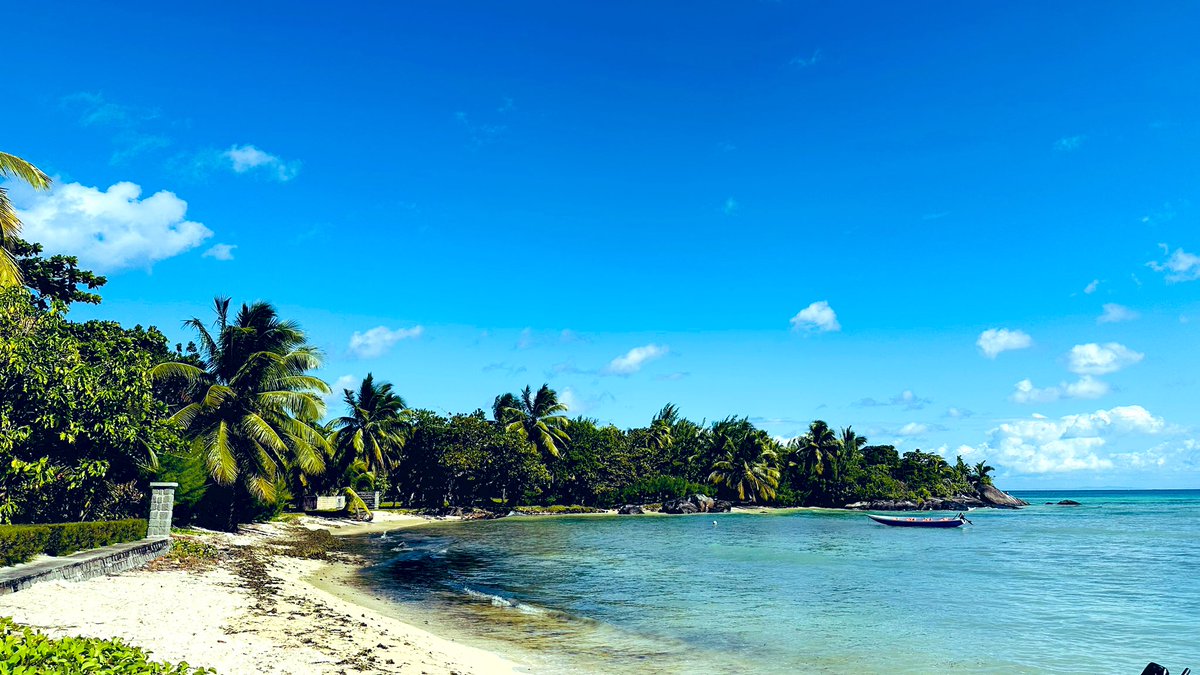 Tojo Ramino tweet media