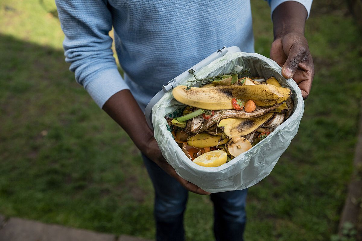 🔽 #GrandParisGrandEst lance la 3e édition de son action "#ObjectifFamilleZéroDéchet" ! Au menu : des ateliers sur le compostage, le gaspillage alimentaire ou encore le réemploi afin de réduire sa production de déchets domestiques.
👉 Pour s'inscrire : urlz.fr/npY5