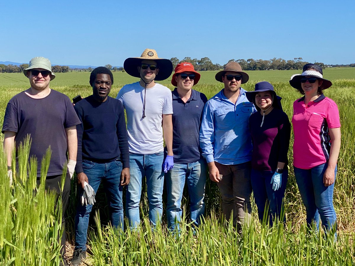 Another beautiful day to be in the field, mega sampling day! @waiteresearch @AgrifoodUoA ⁦@SAGrainTrust⁩