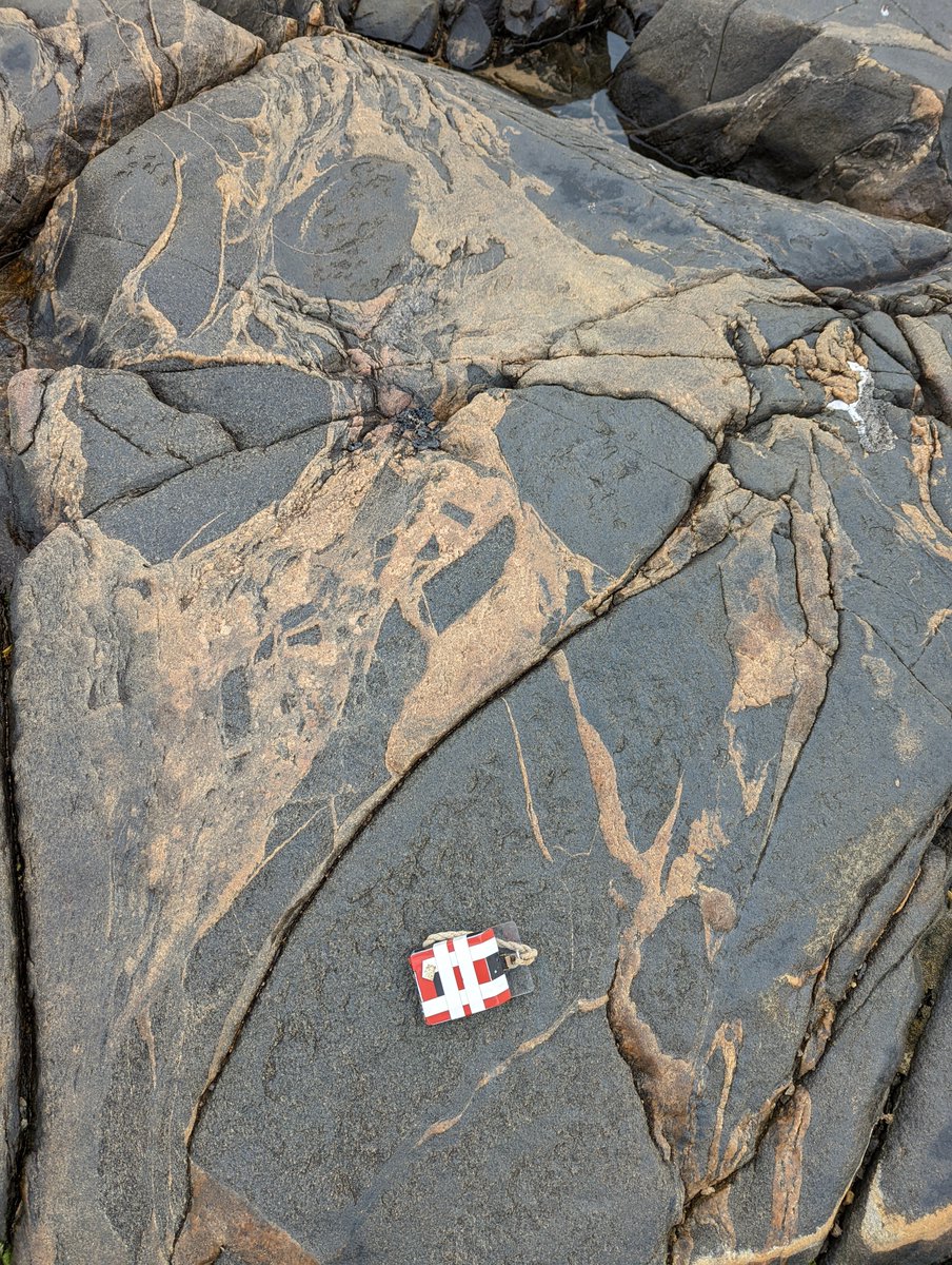 PeterLBowden1's tweet photo. Wave washed outcrops of #Migmatite with granitic neosome invading darker diorite.
Reminded me of Finland, but actually on the beach at Cairnbulg, near Fraserburgh, NE Scotland. 
#Dalradian #Granite https://t.co/MiR4CPxcYj