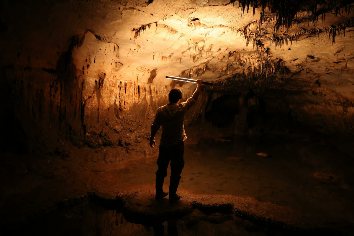 AntiquityJ's tweet image. NEW Archaeologists have discovered the largest #Palaeolithic cave art site in Eastern Iberia. The unusual techniques used to create the art suggests that it is "the most important" rock art site in the region.

🆓 buff.ly/45Nnu11

An #AntiquityThread 1/8 🧵