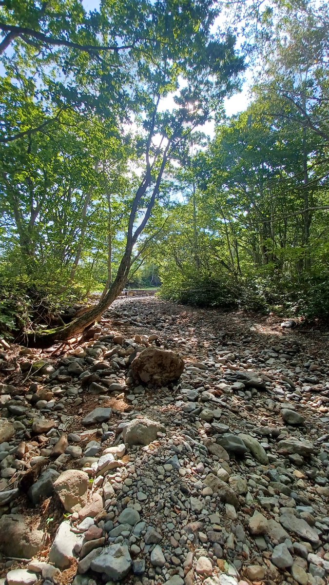 Glad we did a recce this morning for our IGCSE rivers #geographyfieldwork spot the problem for site 1 #Geography #geographyteacher #geographyinjapan