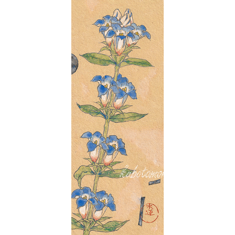 mocklenan's tweet photo. 9月の花にりんどうを描きました～
#りんどう #日本画 https://t.co/qJYOzB2kqU