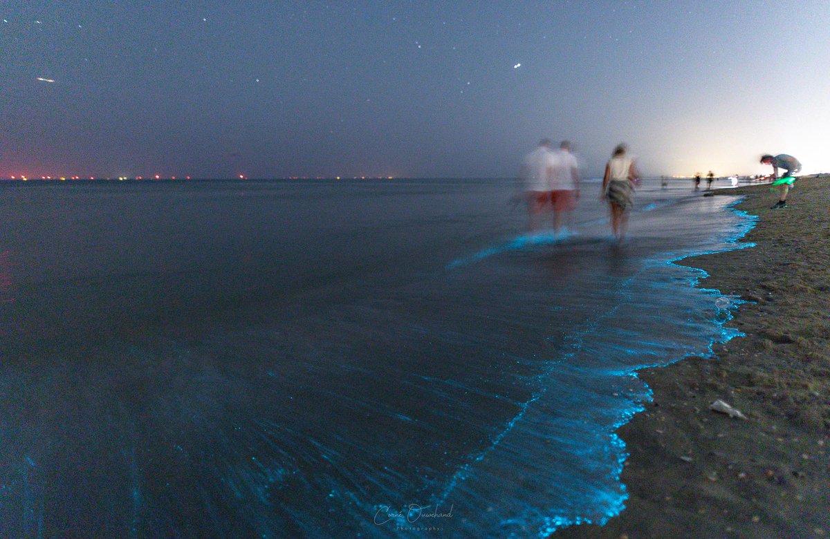 Corné Ouwehand (Denachtfotograaf.nl) tweet media