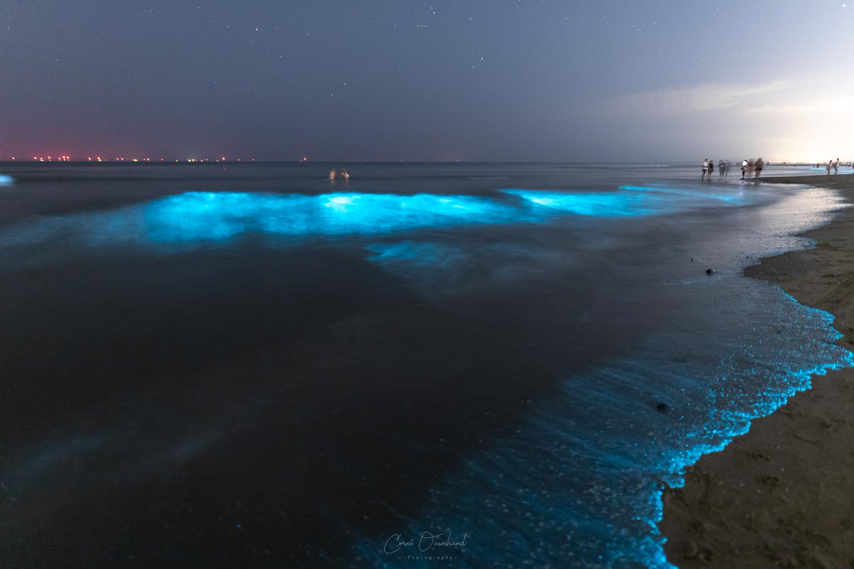 Corné Ouwehand (Denachtfotograaf.nl) tweet media