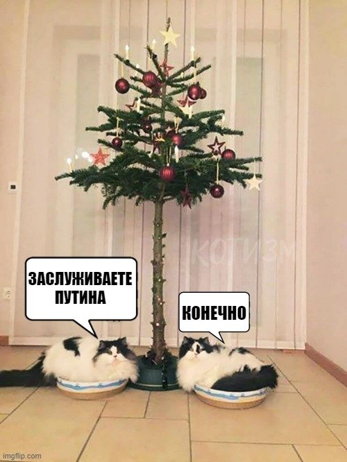 🏳🌈104 долгопята (пока что отсутствуют)🏳🌈 tweet media