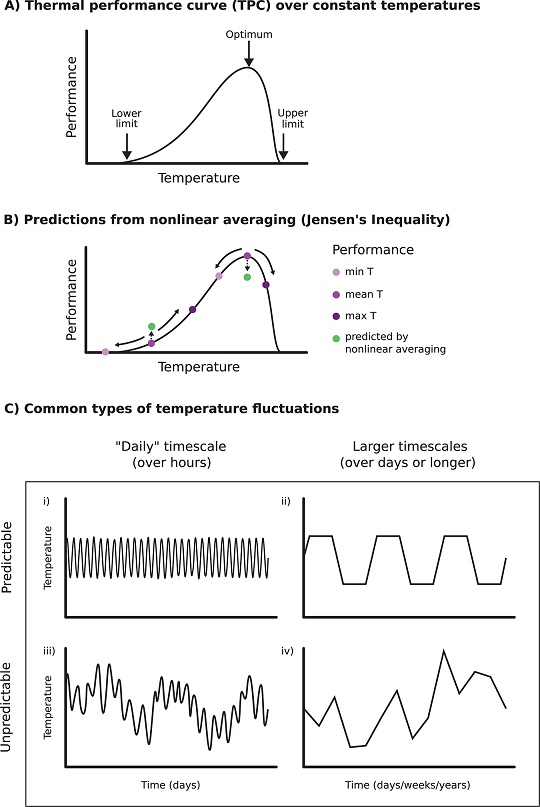 .<a href="/MartaShocket/">Marta Shocket 🏳️‍🌈</a> explores a #PLOSBiology study showing that, contrary to expectations, temperature fluctuations increased #parasite transmission, with implications for how #ClimateChange will impact infectious disease. Primer: plos.io/3r8zGud Paper: plos.io/3LhLykz