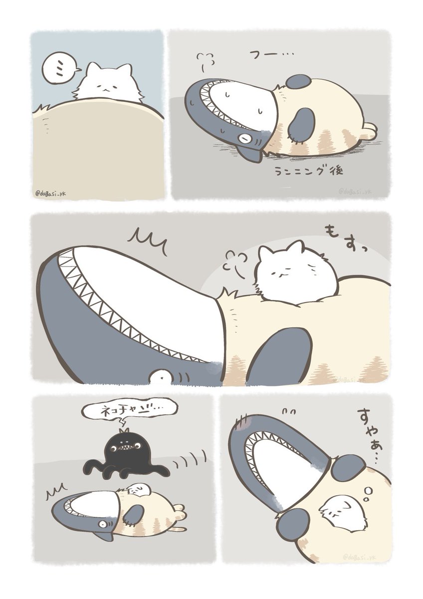 ネコチャンがかわいいというだけの話(1/2) 