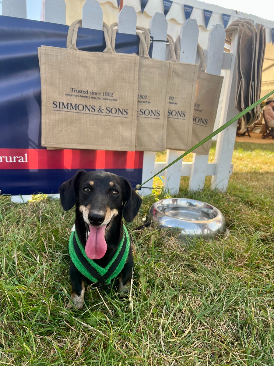 Wonderful to see so many of our Clients, both old and new and four-legged at the brilliant Henley Farm &amp; Country Show on Saturday!

#henleyonthames #country #show #countryside #rural #commercial #residential #property #equestrian #events #estate #management #estateagent