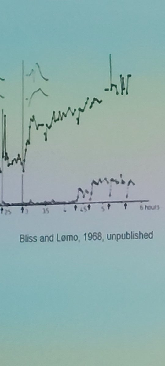 Happy to see I am not the only one taking long to publish #IBRO2023 #senc