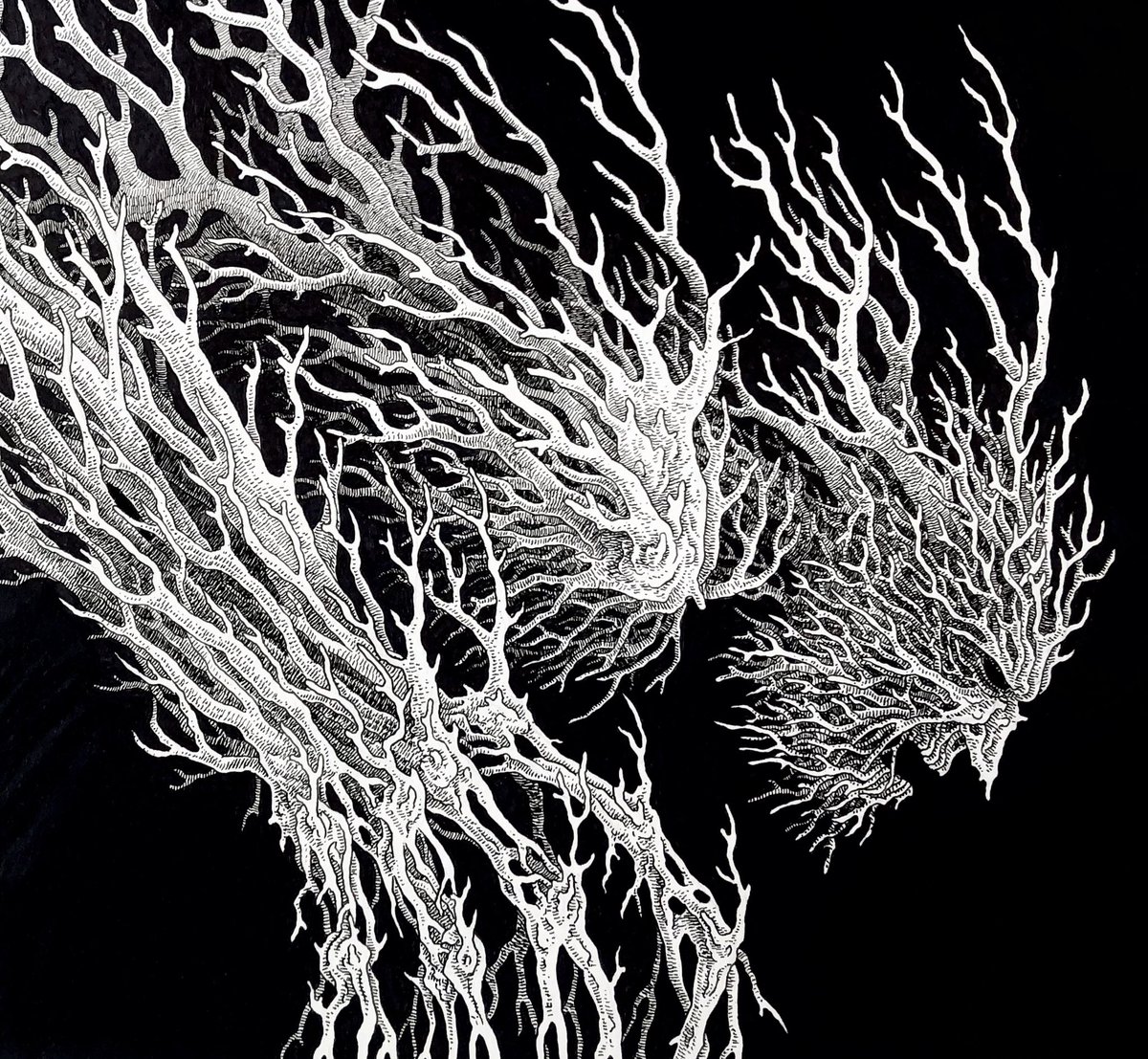 Dark fantasy art train. QRT what lives in the shade. https://t.co/jEuomDd7TR 