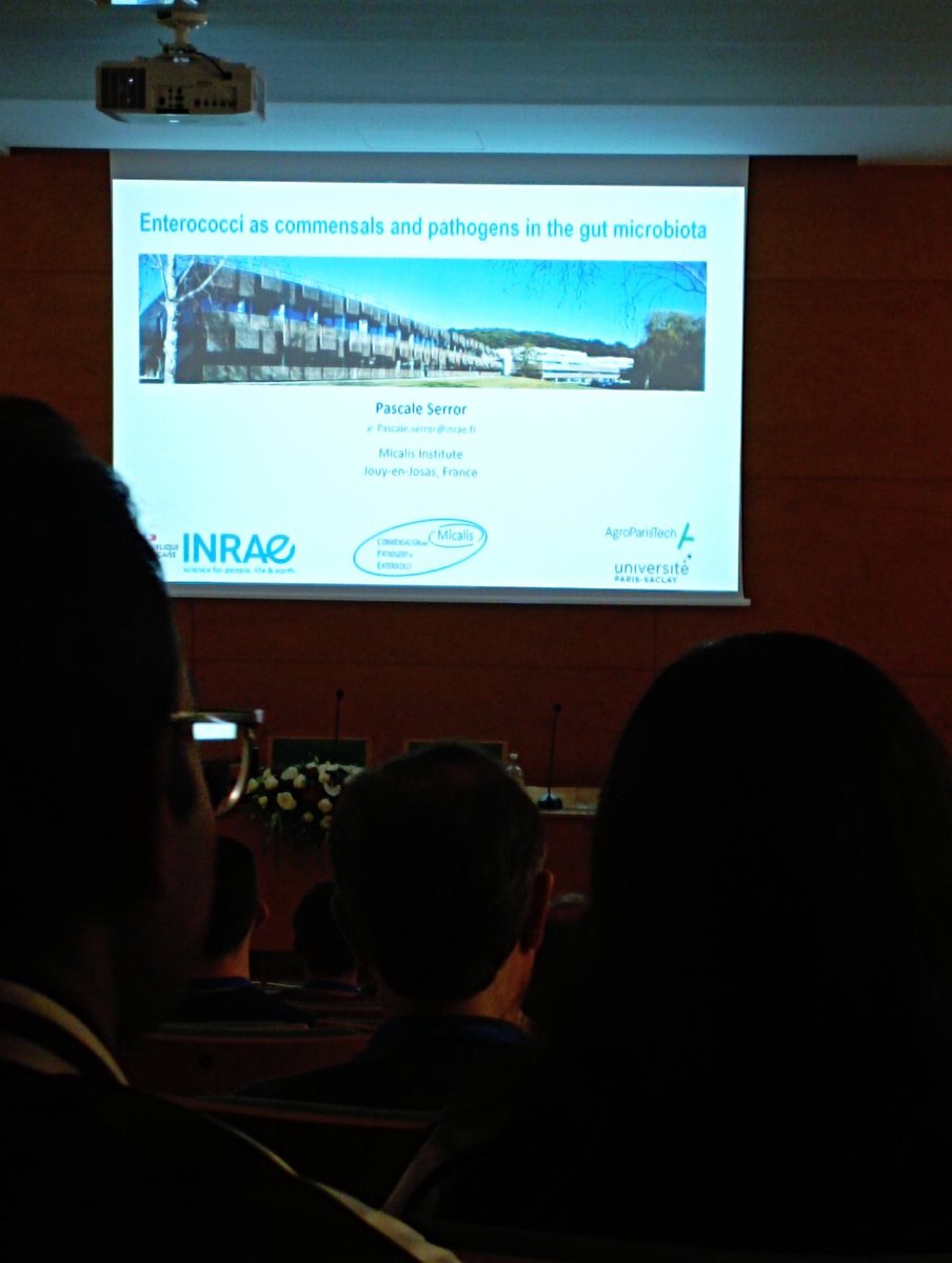Mr_HassanSaeed's tweet image. The 6th International Conference on Enterococci (ICE) begins in the beautiful city of Porto.
#Enterococcus #Porto #ICE6 #ICE2023