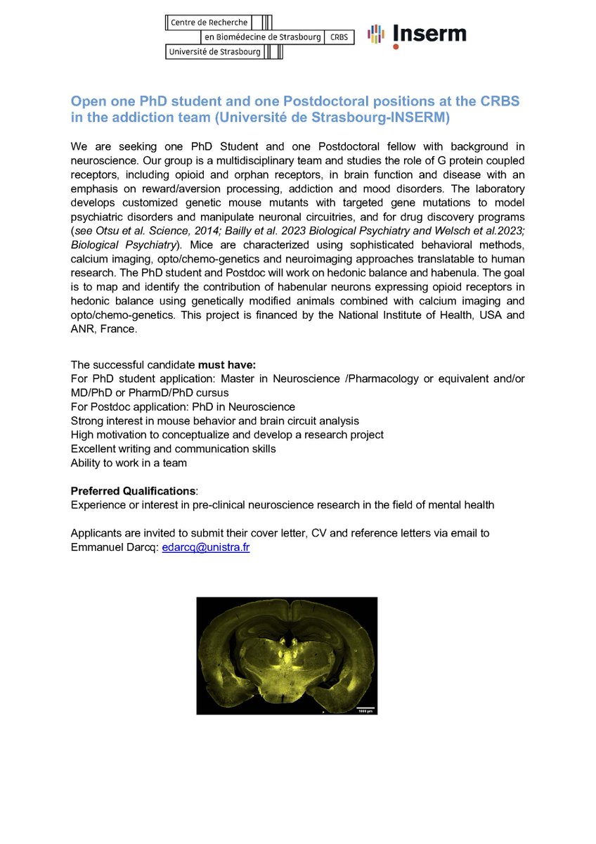 EDarcq's tweet image. Two open positions are available at CRBS Strasbourg France! We are looking for one PhD candidate and one Postdoc to work on neuronal circuiteries involved in hedonic balance and opiate addiction.