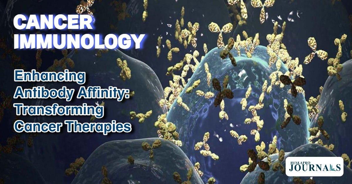 ReseaproJCTaI's tweet photo. New research from the Centre for Cancer Immunology, published ahead of World Cancer Day, has shown that changing how tightly an antibody binds to a target could improve treatments for cancer. #reseaprojournal #cancerjournal #newjournal #Cancer #MEDX #CancerResearch #NewPost https://t.co/VowBlBOzvQ