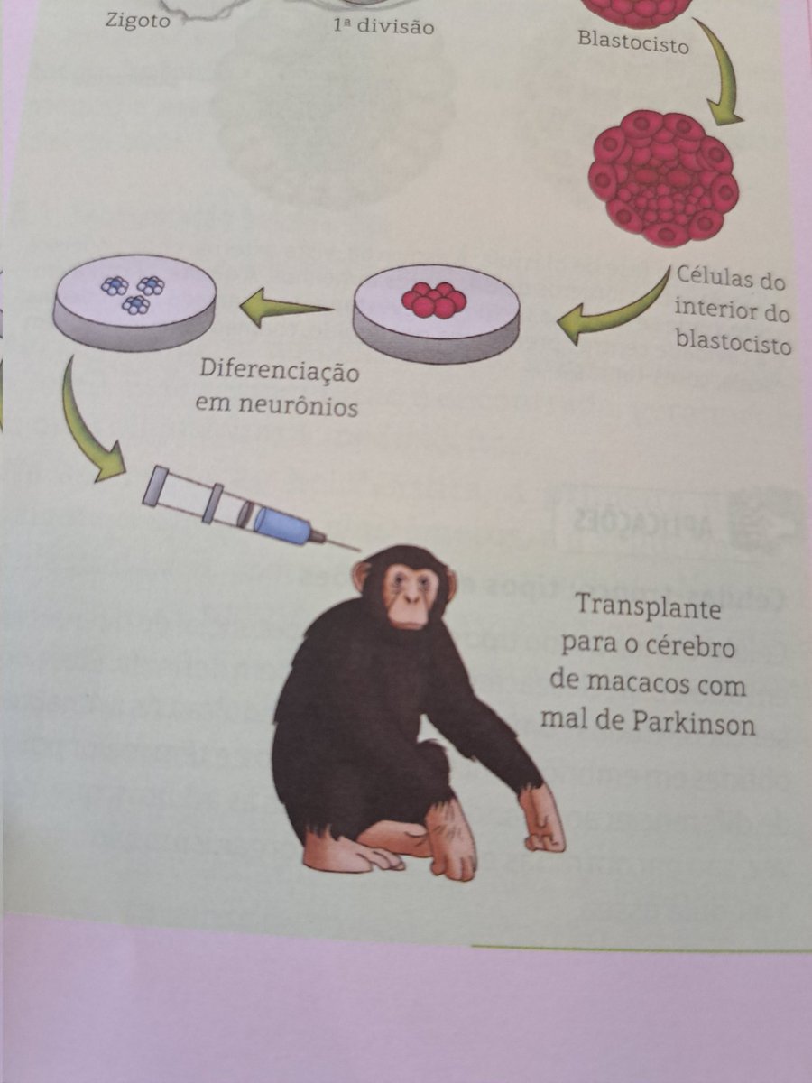 CupcaketheG's tweet photo. Eu fiz fanart do macaco com parkinson
#art #fanart #dehon #coc #biologia #macacocomparkinson https://t.co/B82H6XzZ3b