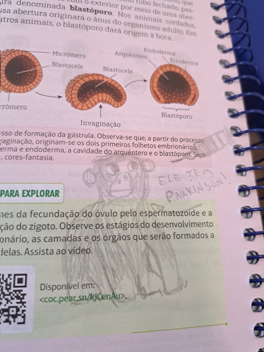 CupcaketheG's tweet photo. Eu fiz fanart do macaco com parkinson
#art #fanart #dehon #coc #biologia #macacocomparkinson https://t.co/B82H6XzZ3b