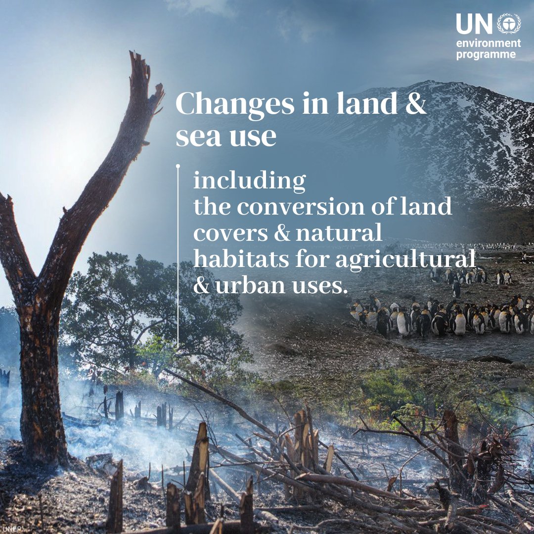 UNEP's tweet photo. Five drivers of the nature crisis 👇