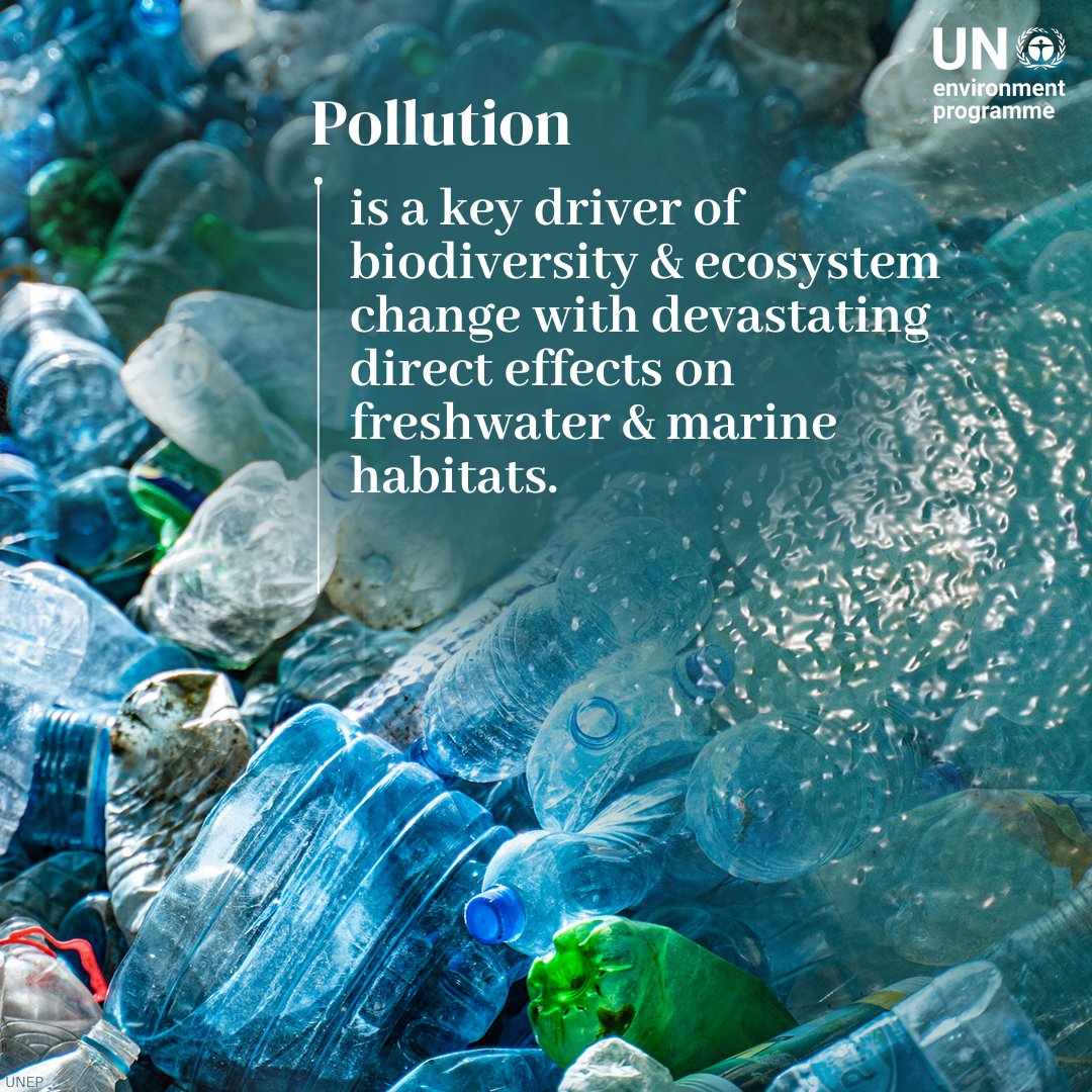 UNEP's tweet photo. Five drivers of the nature crisis 👇